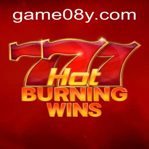 Descubra Tudo Sobre o Jogo HotBurningWins: Regras e Novidades